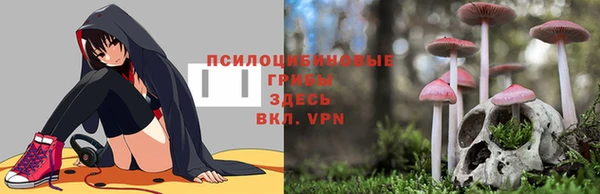 спайс Кукмор