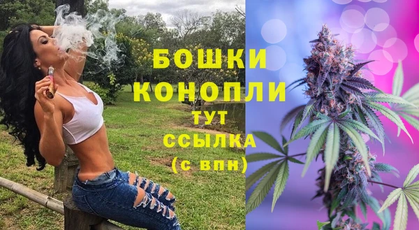 эйфоретик Архангельск