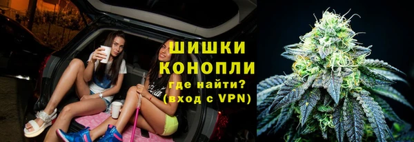 ГАЛЛЮЦИНОГЕННЫЕ ГРИБЫ Новоузенск